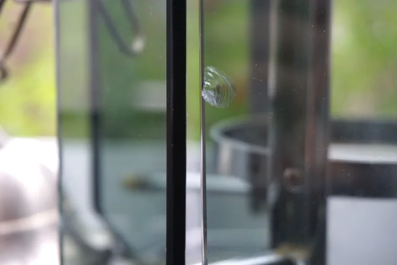 Zweite beschädigte Glasscheibe Veca Set Detailansicht Zustand