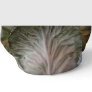 Vladimir Kanevsky Signed Porcelain Cabbage Tureen, USA 2014